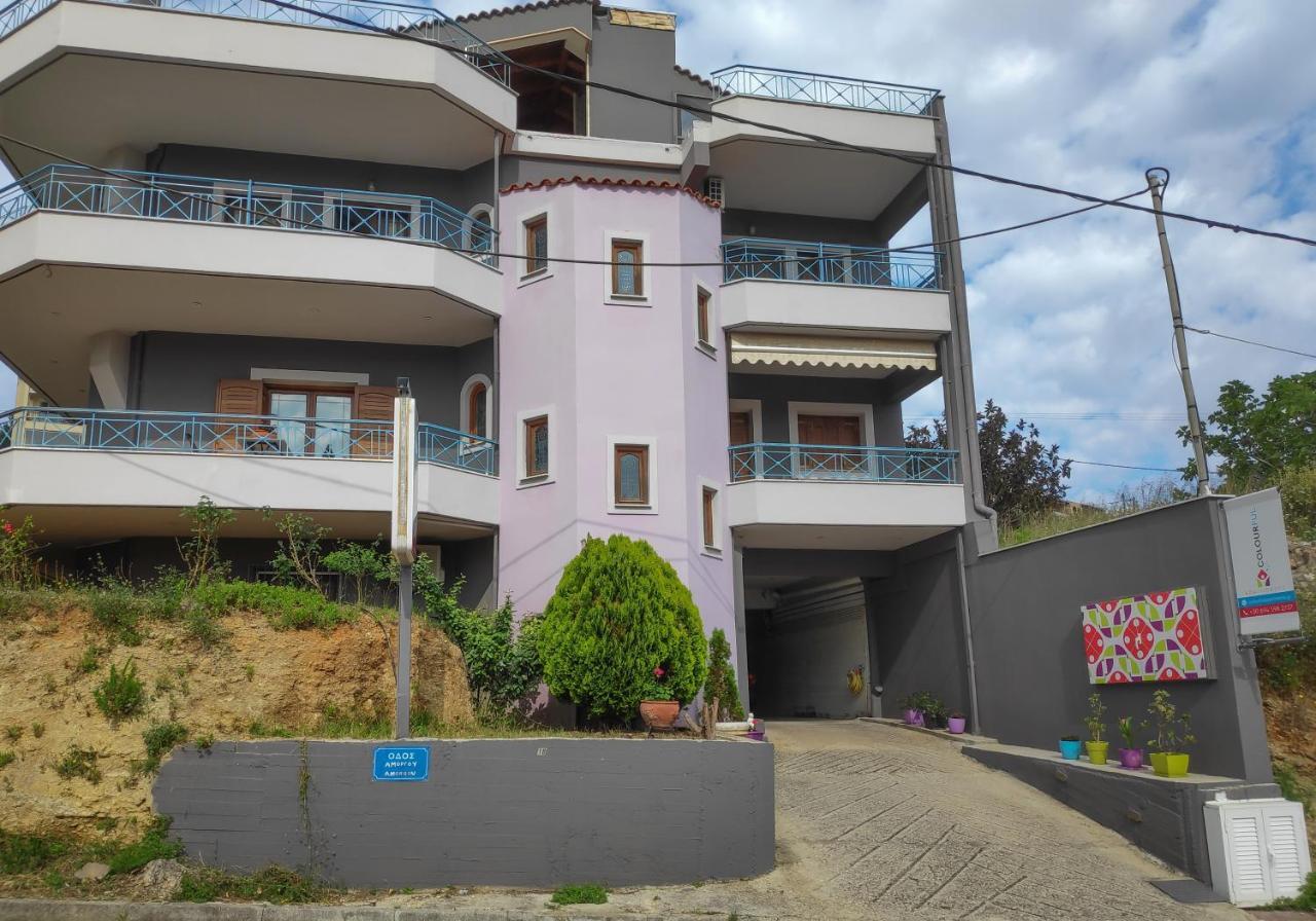 Apartment Colourful *
